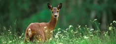 Ar 1.janvāri spēkā jaunas normas