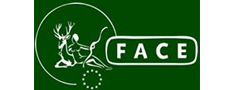 FACE atskats uz 2020. gadā padarīto
