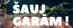 Klausies! Kādu optisko tēmēkli izvēlēties? Podkāsta “Šauj garām!” 18. epizode