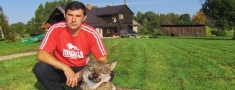 Sasparojušies vilku mednieki