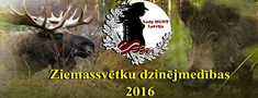 Ziemassvētku dzinējmedības